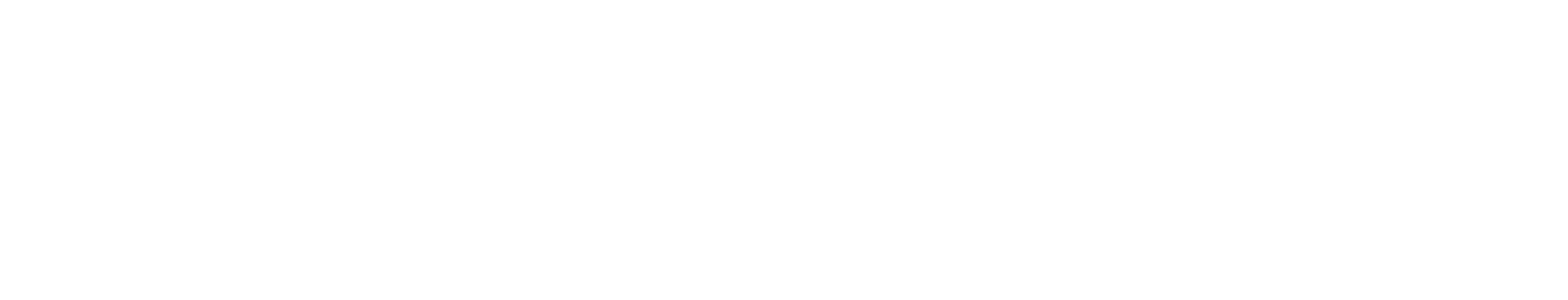 The Verge